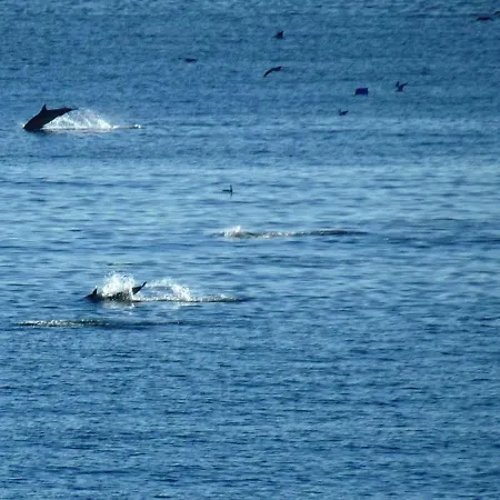 Apartment Rocachica Eden 41 *