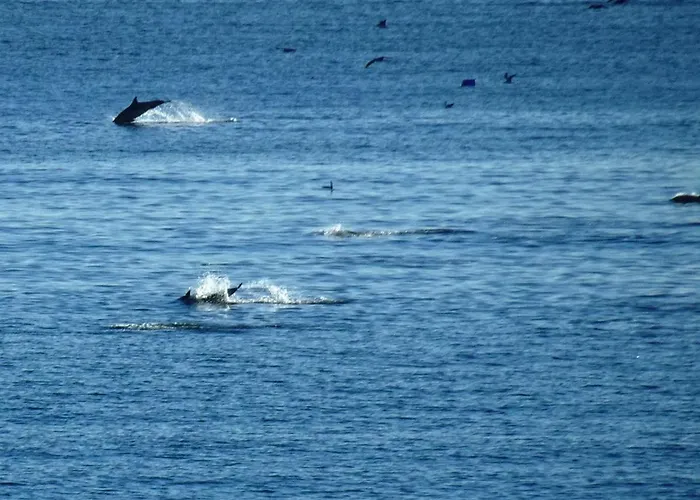 아파트 Rocachica Eden 41 *